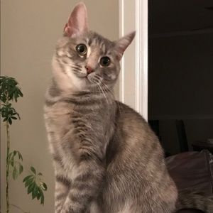 Meet your Posher, Laura